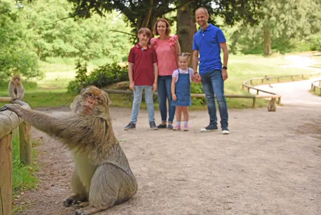 Monkey Forest Recognised As One Of The Best Staffordshire Chambers