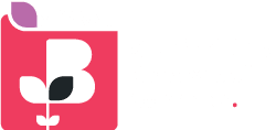 Staffordshire Chambers