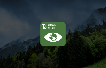 SDG 13 Graphic