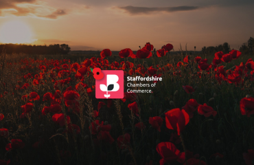 Staffordshire Chamber's Logo surrounded by poppies in a field for Remembrance Sunday