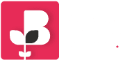 Staffordshire Chambers