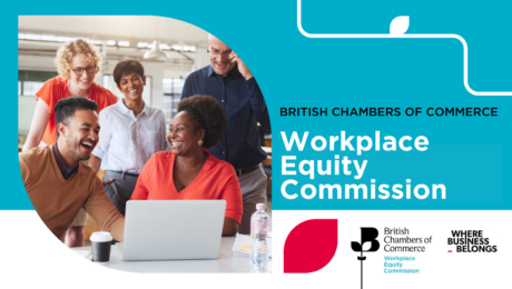 Workplace Equity Commission