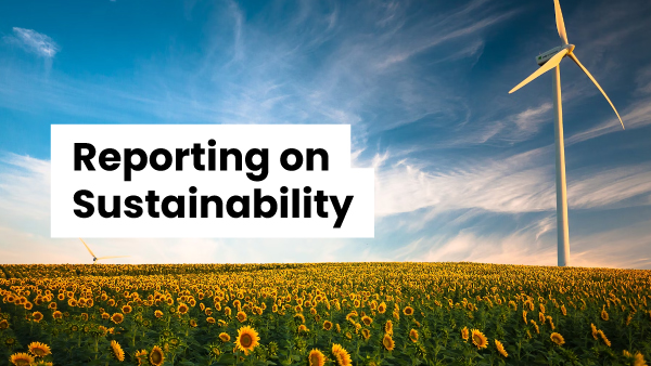 Reporting On Sustainability In Financial Statements - Empowering 